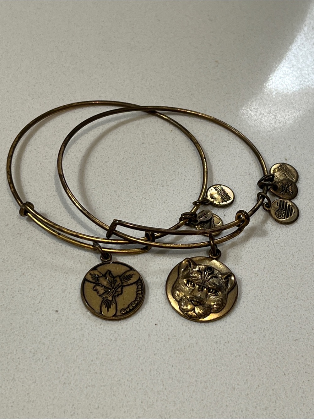 Alex and Ani Style Antique Gold Charm Bangle Bracelet Set